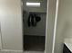 Walk-in closet with shelving and hanging space at 35262 W San Ildefanso Ave, Maricopa, AZ 85138