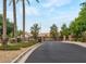 Gated community entrance with lush landscaping and palm trees at 12803 W Campina Dr, Litchfield Park, AZ 85340