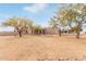 One-story home on a large desert lot with mature trees at 22605 W Baker Dr, Wittmann, AZ 85361