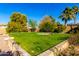 Expansive grassy backyard with raised planter beds at 4142 E Ravenswood Dr, Gilbert, AZ 85298