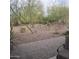 Patio overlooking a desert landscape with native plants at 16464 W Piccadilly Rd, Goodyear, AZ 85395