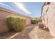 Side yard with shrubs and air conditioning units at 44562 W Sedona Trl, Maricopa, AZ 85139