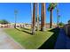 Neatly landscaped community grounds with lush lawn and mature palm trees at 4754 N 14Th St, Phoenix, AZ 85014