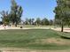 Expansive green golf course with a tree-lined path at 11111 E Elmhurst Dr, Sun Lakes, AZ 85248