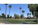 Scenic view of a lush green golf course with palm trees and homes in the background at 11111 E Elmhurst Dr, Sun Lakes, AZ 85248