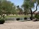 Serene pond view with lush vegetation and a glimpse of a golf course at 11111 E Elmhurst Dr, Sun Lakes, AZ 85248