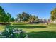 Open green space with lush grass and flowering bushes at 1201 E Campbell Ave, Gilbert, AZ 85234