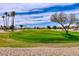 Scenic golf course view with palm trees and rolling green fairways at 19612 N Wasson Peak Dr, Surprise, AZ 85387