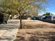 Large backyard with gravel and a tree at 2029 N 22Nd Pl, Phoenix, AZ 85006