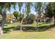 Community features a grassy courtyard with picnic tables at 2333 E Southern Ave # 2041, Tempe, AZ 85282