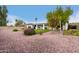 Spacious backyard with covered patio, grassy area, and mature trees at 4639 W Becker Ln, Glendale, AZ 85304