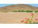 Vacant lot with mountain views at 5018 W Walatowa St, Laveen, AZ 85339