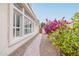 Side yard walkway with blooming flowers and lemon tree at 5287 W Quail Ave, Glendale, AZ 85308