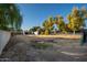 Large backyard with mature trees and open space at 7736 W Acoma Dr, Peoria, AZ 85381