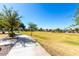 Beautiful greenbelt with walking path and open space at 1333 N Balboa --, Mesa, AZ 85205