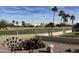 Backyard view with cacti, golf course, and palm trees at 13708 W Robertson Dr, Sun City West, AZ 85375