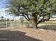 Backyard with pool, trees, and golf course view at 13708 W Robertson Dr, Sun City West, AZ 85375