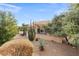 Landscaped front yard with desert plants and gravel at 14414 W Wagon Wheel Dr, Sun City West, AZ 85375