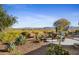 Backyard landscape with desert plants and seating area at 17676 E Woolsey Way, Rio Verde, AZ 85263