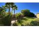 Landscaped backyard with lush green grass and stone pathway at 21525 E Camacho Rd, Queen Creek, AZ 85142