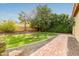 Landscaped backyard with a brick pathway and lush green lawn at 21525 E Camacho Rd, Queen Creek, AZ 85142