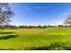 Large grassy area with homes and trees at 2185 E Hazeltine Way, Gilbert, AZ 85298