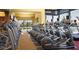 State-of-the-art fitness center with cardio and weight equipment at 26448 W Kimberly Way, Buckeye, AZ 85396