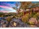 Landscaped backyard with a stone pathway, pool and mountain views at 39863 N 105Th Pl, Scottsdale, AZ 85262