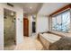 Bathroom with walk-in shower, soaking tub, and stone finishes at 39863 N 105Th Pl, Scottsdale, AZ 85262