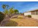 Spacious backyard with raised garden beds and mature trees at 501 W Linda Ln, Chandler, AZ 85225