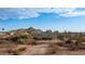 House exterior with desert landscaping and mountain backdrop at 5089 E 26Th Ave, Apache Junction, AZ 85119