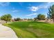 Expansive green space with a walking path and mature trees at 7244 S Sunrise Way, Buckeye, AZ 85326