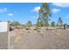 Landscaped common area with desert plants and trees at 8448 W Candlewood Way, Florence, AZ 85132