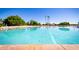 Expansive community pool reflecting the clear sky at 1633 E Lakeside Dr # 79, Gilbert, AZ 85234