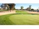 Green with flag, sand traps and trees at 9425 W Sandstone Dr, Sun City, AZ 85351