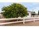 Landscaped front yard with tree and white fence at 1031 S 98Th St, Mesa, AZ 85208