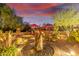 Desert landscape with a water feature and lighting at 1075 W Desert Aster Rd, San Tan Valley, AZ 85143