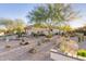 Landscaped backyard with gravel, desert plants, and a large tree provides a serene setting at 1075 W Desert Aster Rd, San Tan Valley, AZ 85143