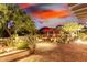 Landscaped backyard with lighting and desert plants at 1075 W Desert Aster Rd, San Tan Valley, AZ 85143