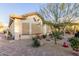 Landscaped exterior of the home with desert plants at 1075 W Desert Aster Rd, San Tan Valley, AZ 85143