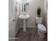 Stylish bathroom with pedestal sink and herringbone tile floor at 13183 N 145Th Ln, Surprise, AZ 85379