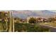 Community view with mountain and desert views at 13227 N Mimosa Dr # 117, Fountain Hills, AZ 85268