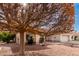 House exterior showcasing a large tree and gravel landscaping at 19619 N White Rock Dr, Sun City West, AZ 85375