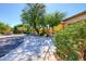 Landscaped front yard with mature trees and a paved walkway at 29302 N 126Th Ln, Peoria, AZ 85383