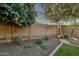 Landscaped backyard with gravel, plants, and a fruit tree at 3829 E Sawtooth Dr, Chandler, AZ 85249