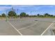 Outdoor basketball court with markings and surrounding trees at 3829 E Sawtooth Dr, Chandler, AZ 85249