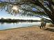 Peaceful lake view with bench under a large tree at 3829 E Sawtooth Dr, Chandler, AZ 85249