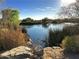 Scenic lake view with reeds, rocks, and a tranquil atmosphere at 3829 E Sawtooth Dr, Chandler, AZ 85249