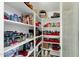 Well-organized pantry with ample shelving for storage at 3829 E Sawtooth Dr, Chandler, AZ 85249