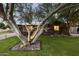 Landscaped front yard with a large tree and rock wall at 840 W Earll Dr, Phoenix, AZ 85013